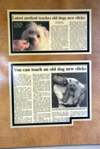 Gus and Don recognized in the Bangor Daily News for bring clicker training to Green Acres