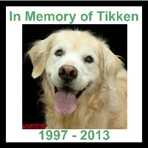 In Memory of Tikken 300x300