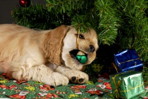 puppy chewing ornament