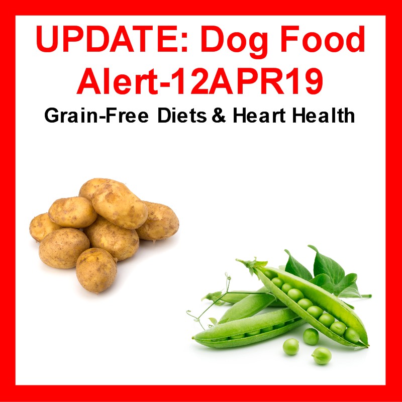 Tegne Tulipaner Penneven Shared Blog Post – FDA Updates on Heart Disease in Dogs – Hemopet – Dr. Jean  Dodds – Green Acres Kennel Shop Blog