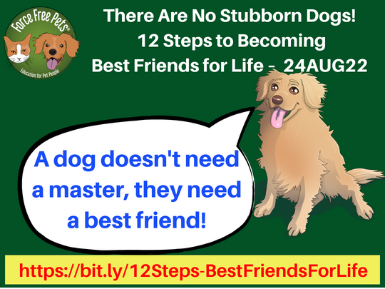 https://blog.greenacreskennel.com/wp-content/uploads/2022/08/BLOG-There-Are-No-Stubborn-Dogs-12-Steps-to-Best-Friends-for-Life%E2%80%93-2022-08-31.png