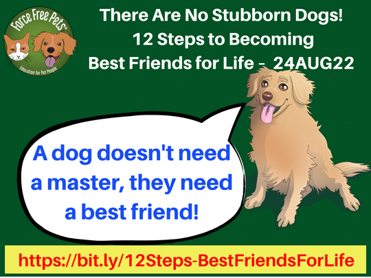 Help! My Dog Is Stubborn! – Green Acres Kennel Shop Blog